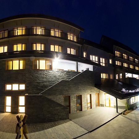 Pensiunea Art 1000 Lunca Visagului Bagian luar foto